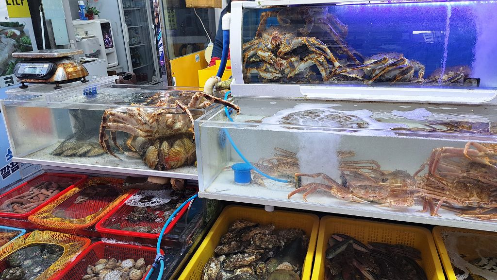 k-Busan - Fischmarkt 1 k-Busan - Fischmarkt 1