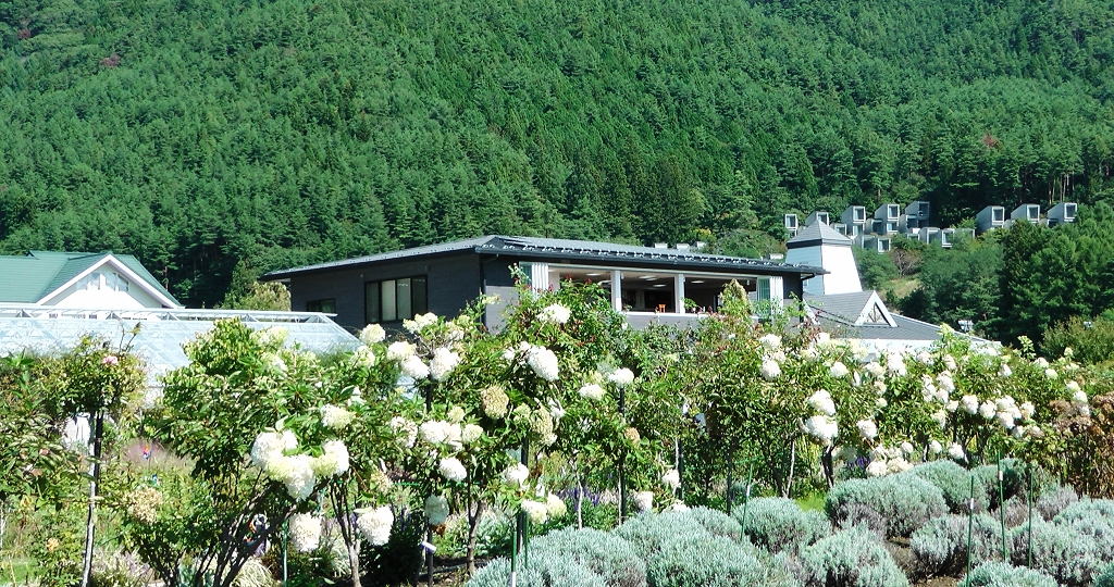 k-Auf dem Weg zum Fuji-san 4
