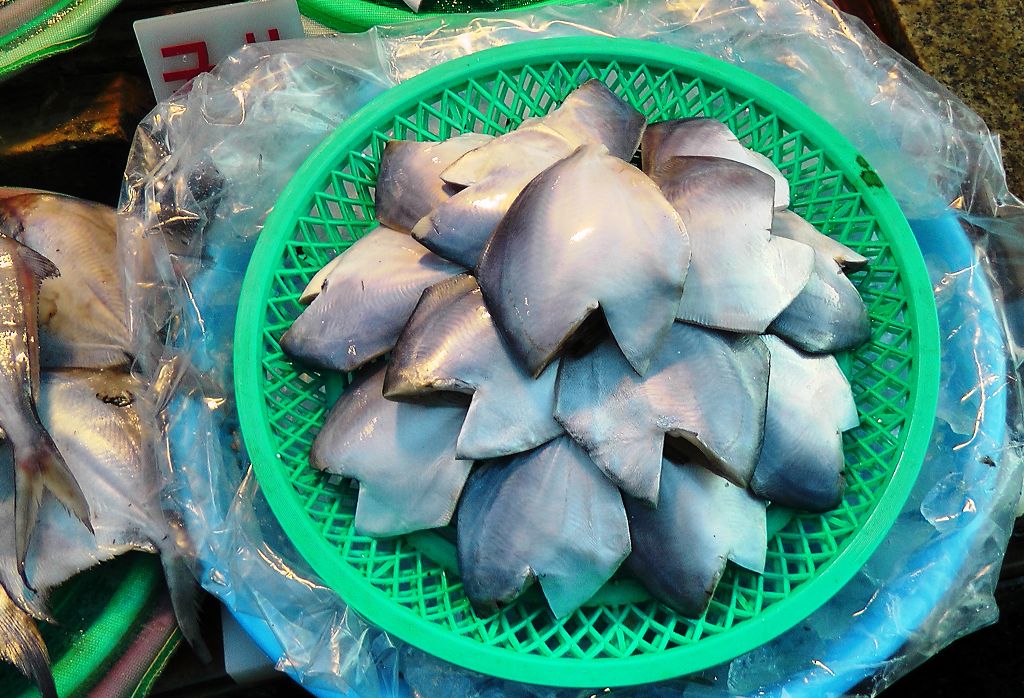 k-Busan - Fischmarkt 1-2