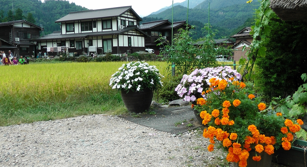 k-Dorf in Shirakawago - Wada H�user im historischen Dorf (8)