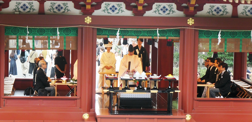 k-Kamakura - Tsurugaoka Hachimagu Schrein (15)