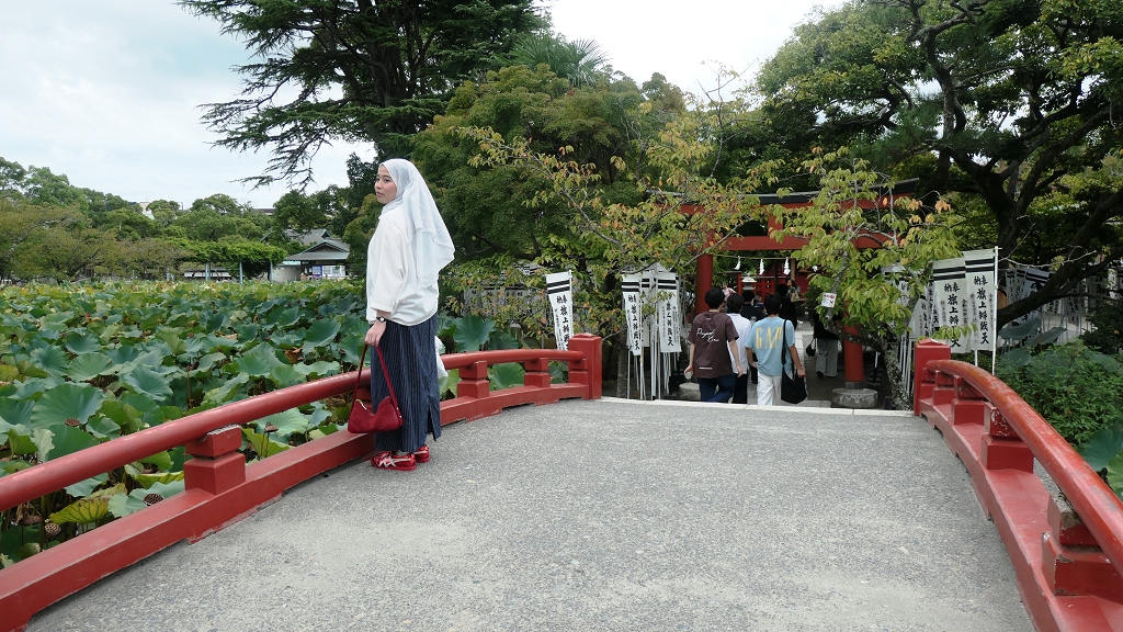 k-Kamakura - Tsurugaoka Hachimagu Schrein (16)