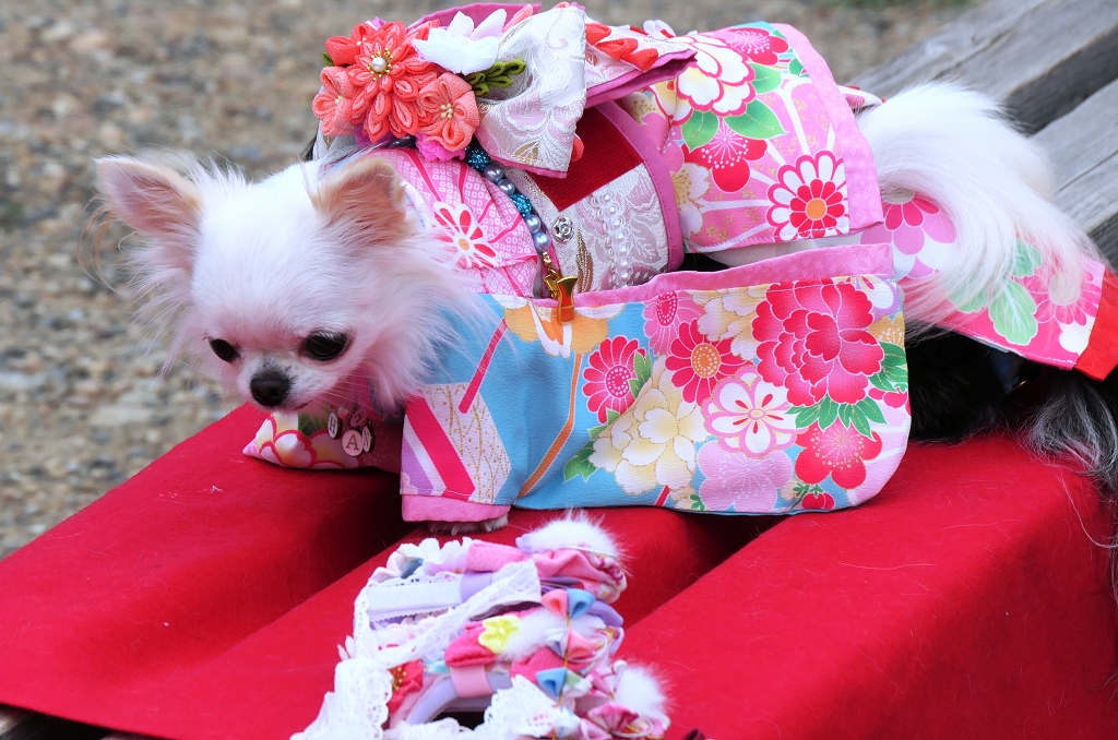 k-Kuriosit�ten (1)