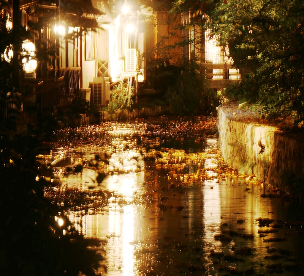 k-Spaziergang zum Geicha-Viertel in Kyoto am Abend (7)