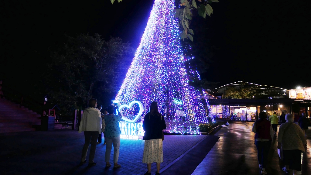 k-Tagesausklang Abendessen (B�fett) in Hoteln�he (1)